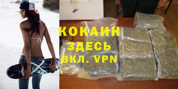 дурь Алексин