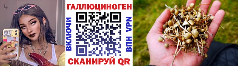 Псилоцибиновые грибы мухоморы  Белая Калитва 