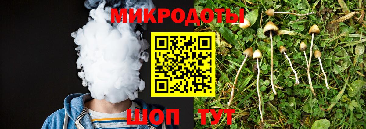 Белая Калитва  Псилоцибиновые грибы прущие грибы  Вход с VPN  Галлюциногенные грибы Cubensis 
